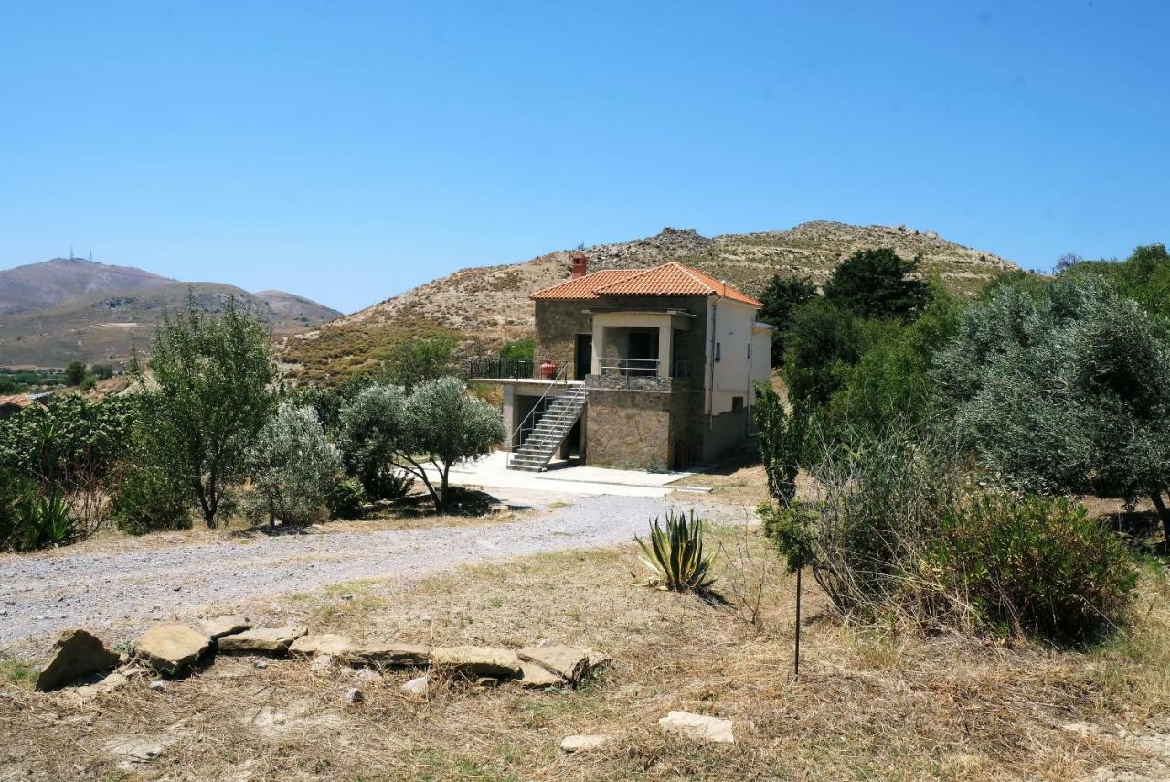 Stone House Of Panos Villa Kornos Екстериор снимка