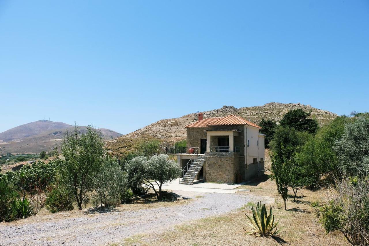 Stone House Of Panos Villa Kornos Екстериор снимка