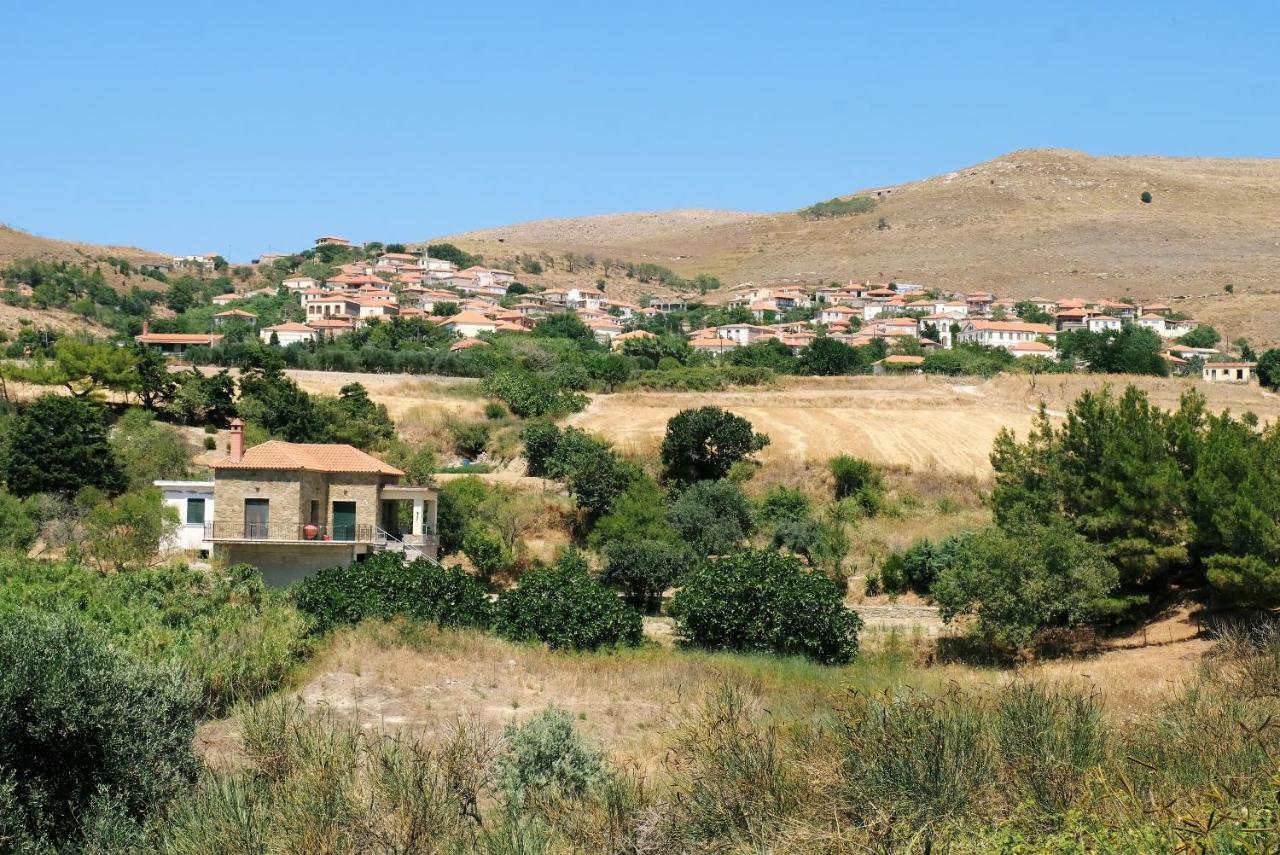 Stone House Of Panos Villa Kornos Екстериор снимка
